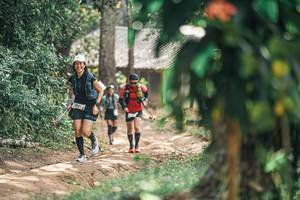 BIB: 
                            <button type="button" onclick="openModal(25275835)" class="btn btn-primary btn-sm float-right btn-popup" data-toggle="modal" data-target=".modal-high-quality">
                        <i class="fas fa-shopping-cart"></i> Add to Cart
                    </button>
                                            <button type="button" onclick="isThisMe(25275835, true)" class="btn btn-success btn-sm float-right btn-popup btn-isme hidden" data-toggle="tooltip" data-placement="bottom" title="นี่คือรูปของคุณใช่ไหม คลิกที่นี่เพื่อเอาเข้าอัลบั้ม">
                        <i class="fas fa-plus"></i> Add to album
                    </button>
                    <button type="button" onclick="isThisMe(25275835, false)" class="btn btn-warning btn-sm float-right btn-popup btn-isnotme hidden">
                        <i class="fas fa-ban"></i> Remove from album
                    </button>